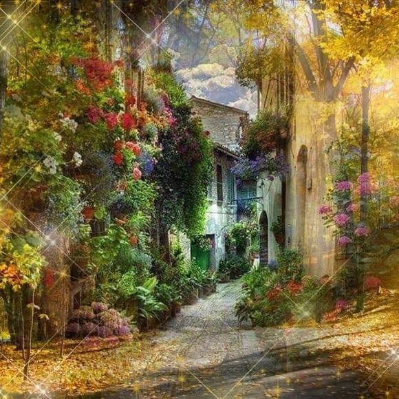 Meet your Posher, Rita - Picture 1 of 1